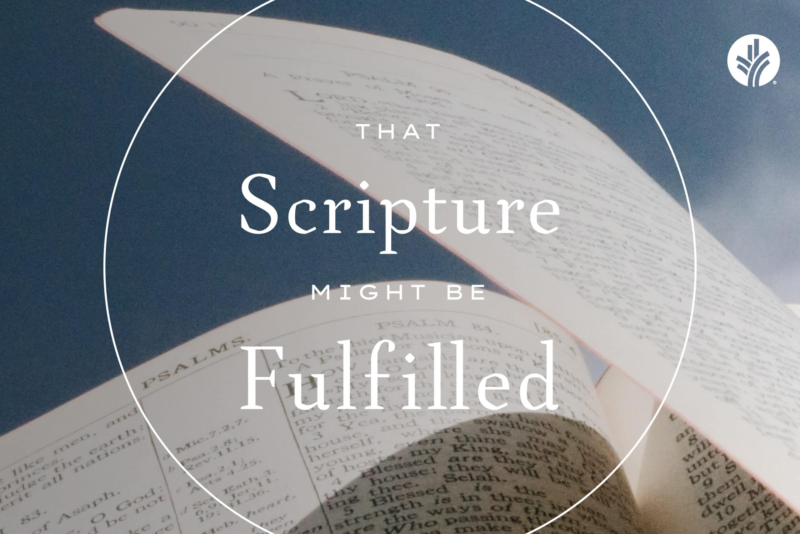 that-scripture-might-be-fulfilled-week-1-discover-the-word